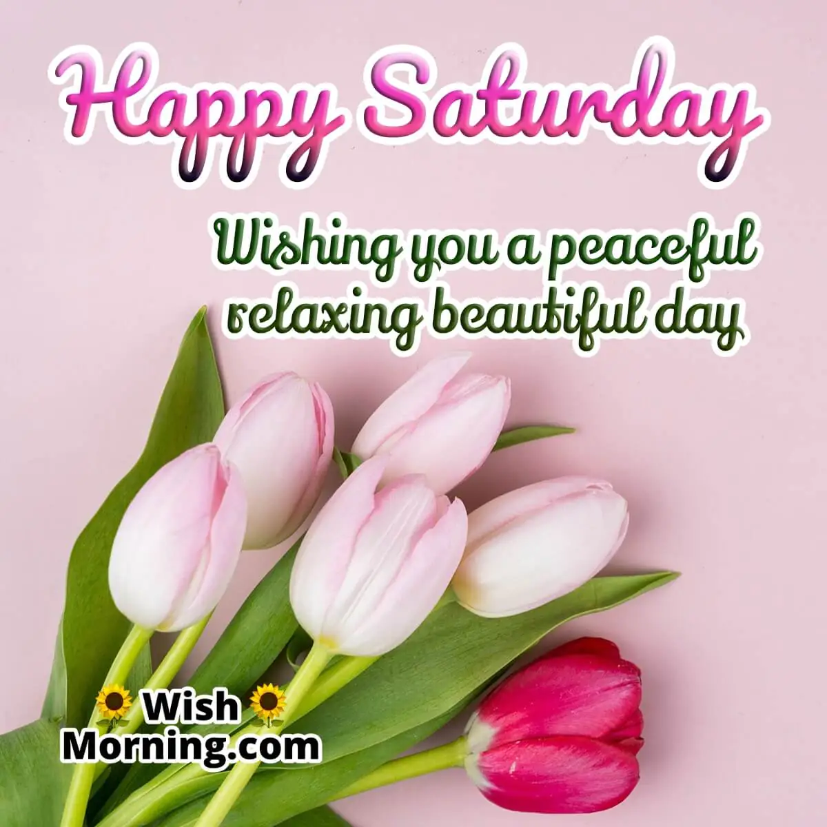 Beautiful Happy Saturday