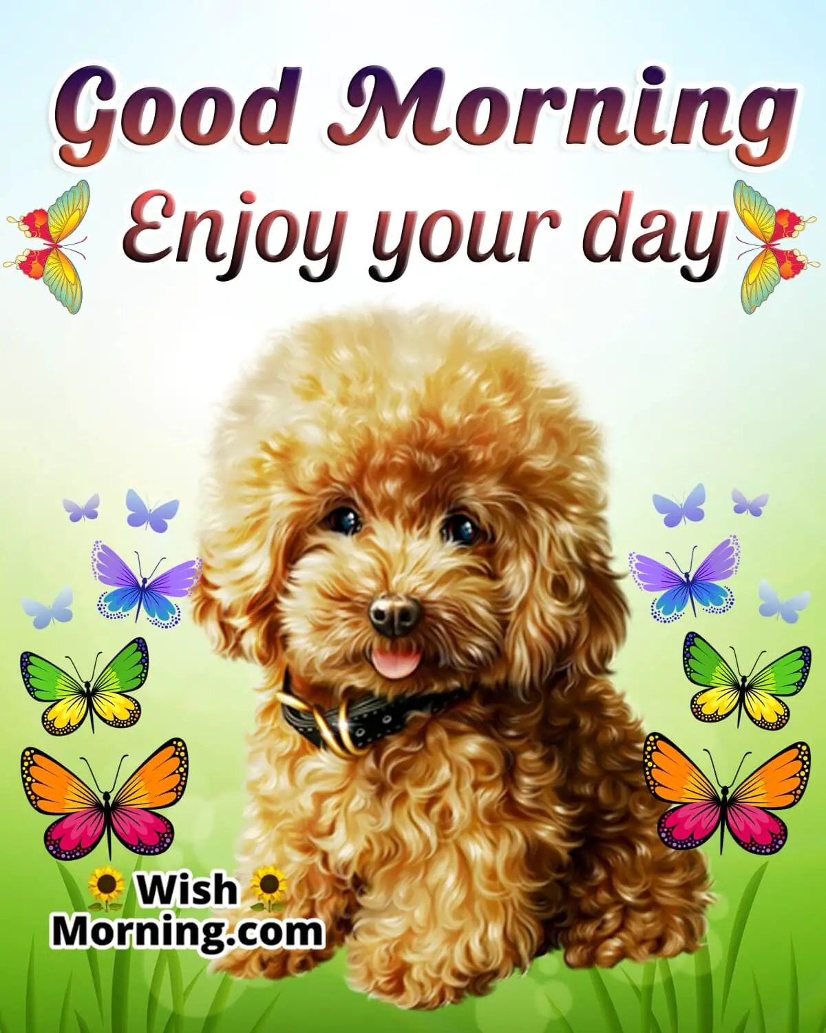 Good Morning Enjoy Your Day