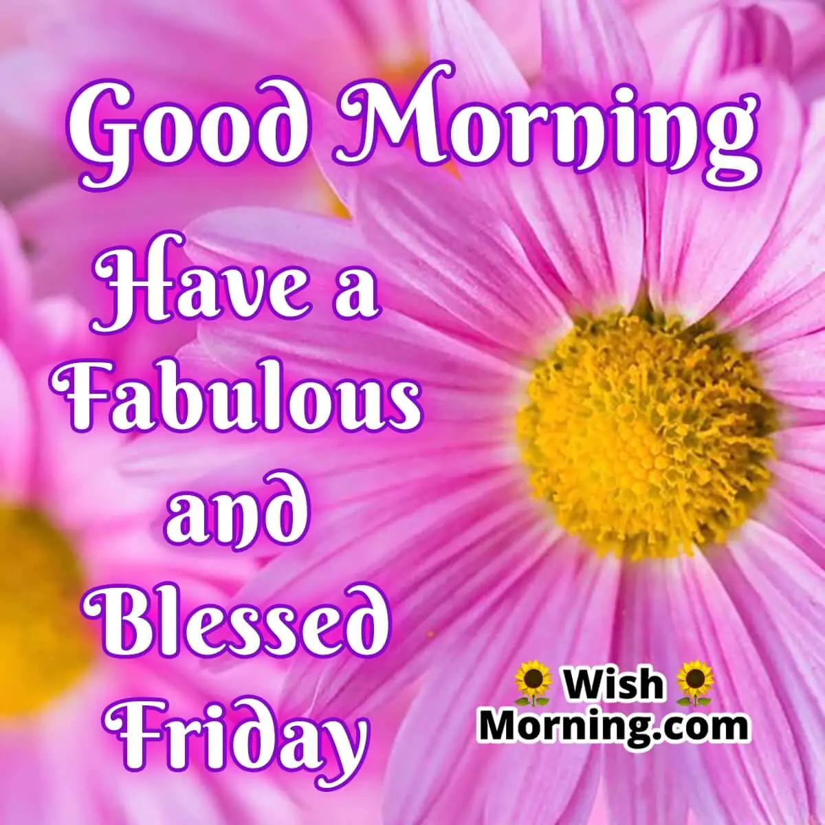 Good Morning Fabulous And Blessed Friday