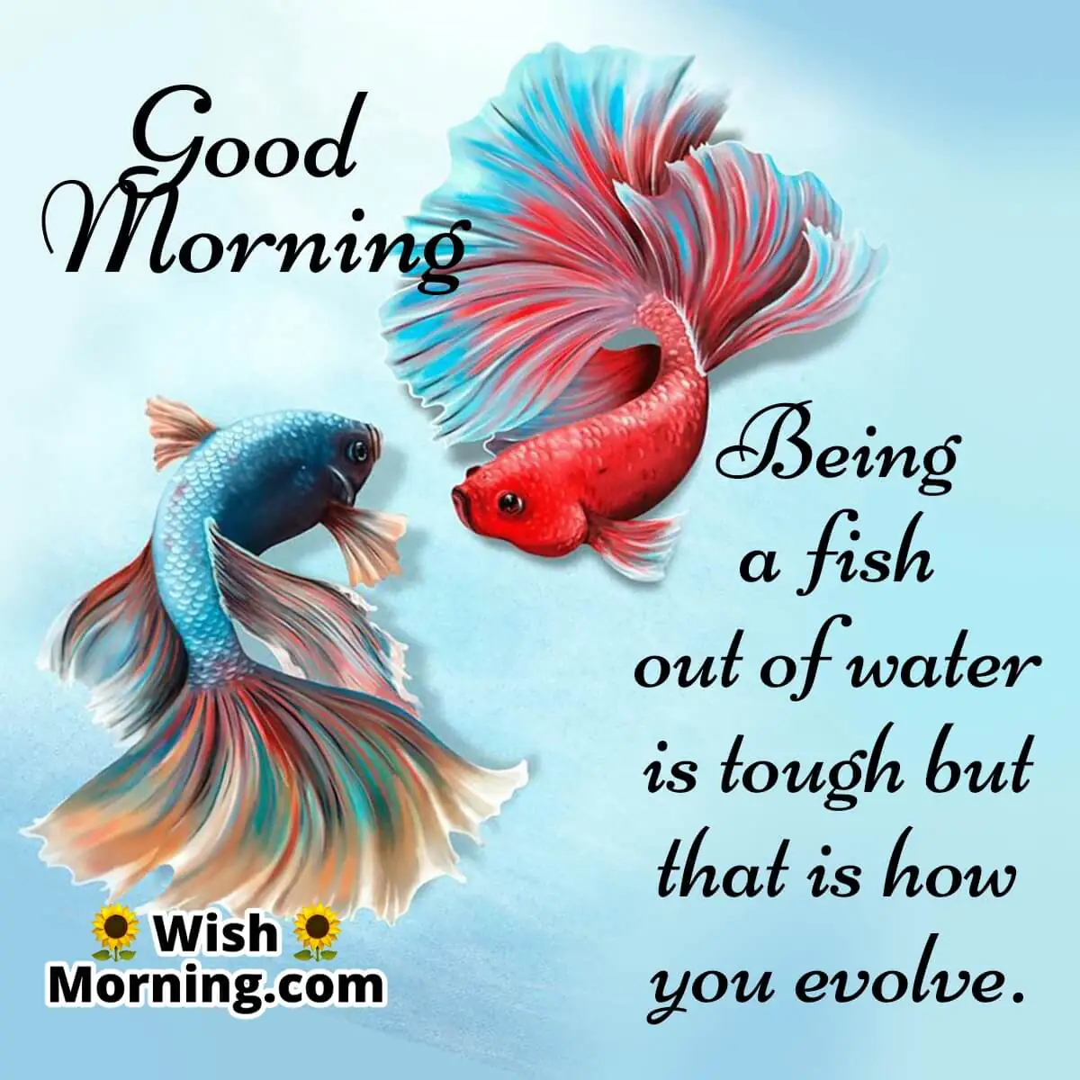 Good Morning Fish Quote