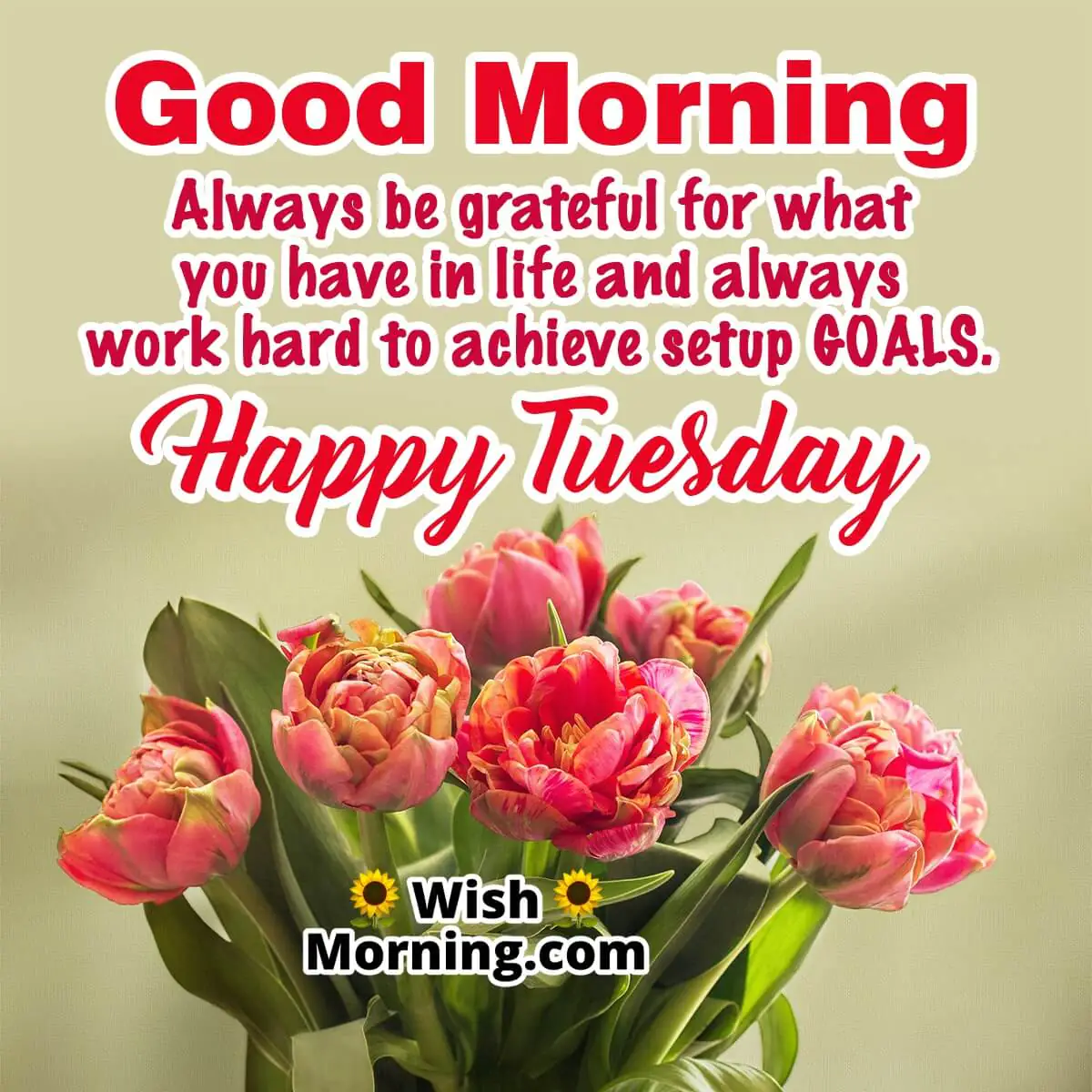 Good Morning Happy Tuesday Message