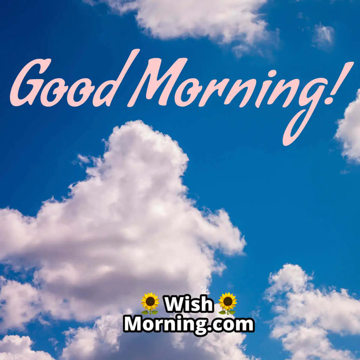 Good Morning Nature Greetings