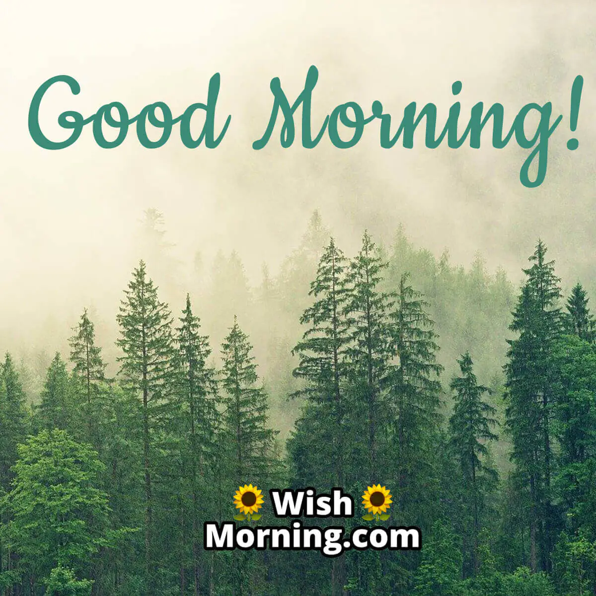 Good Morning Nature Wishes