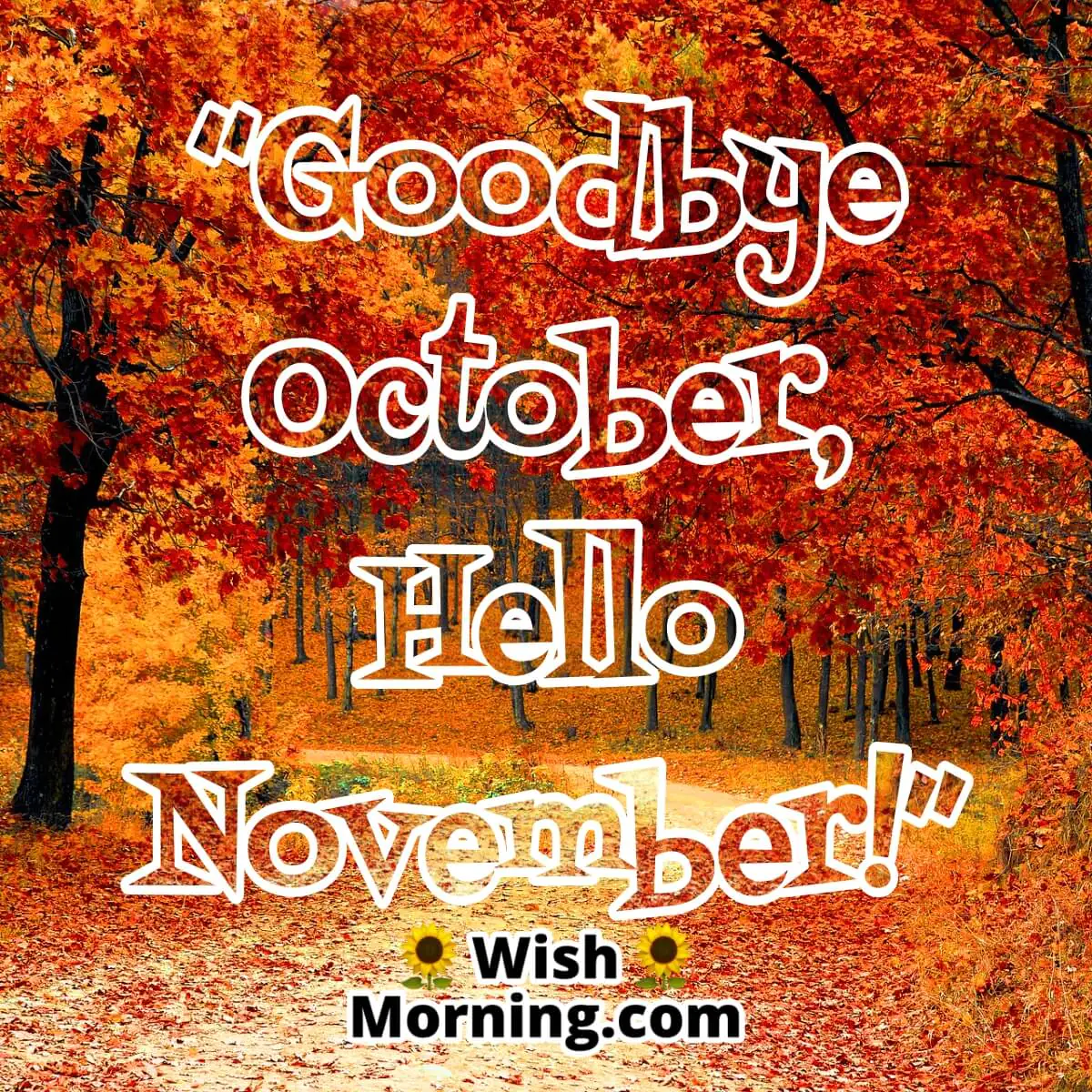 Goodbye October Hello November