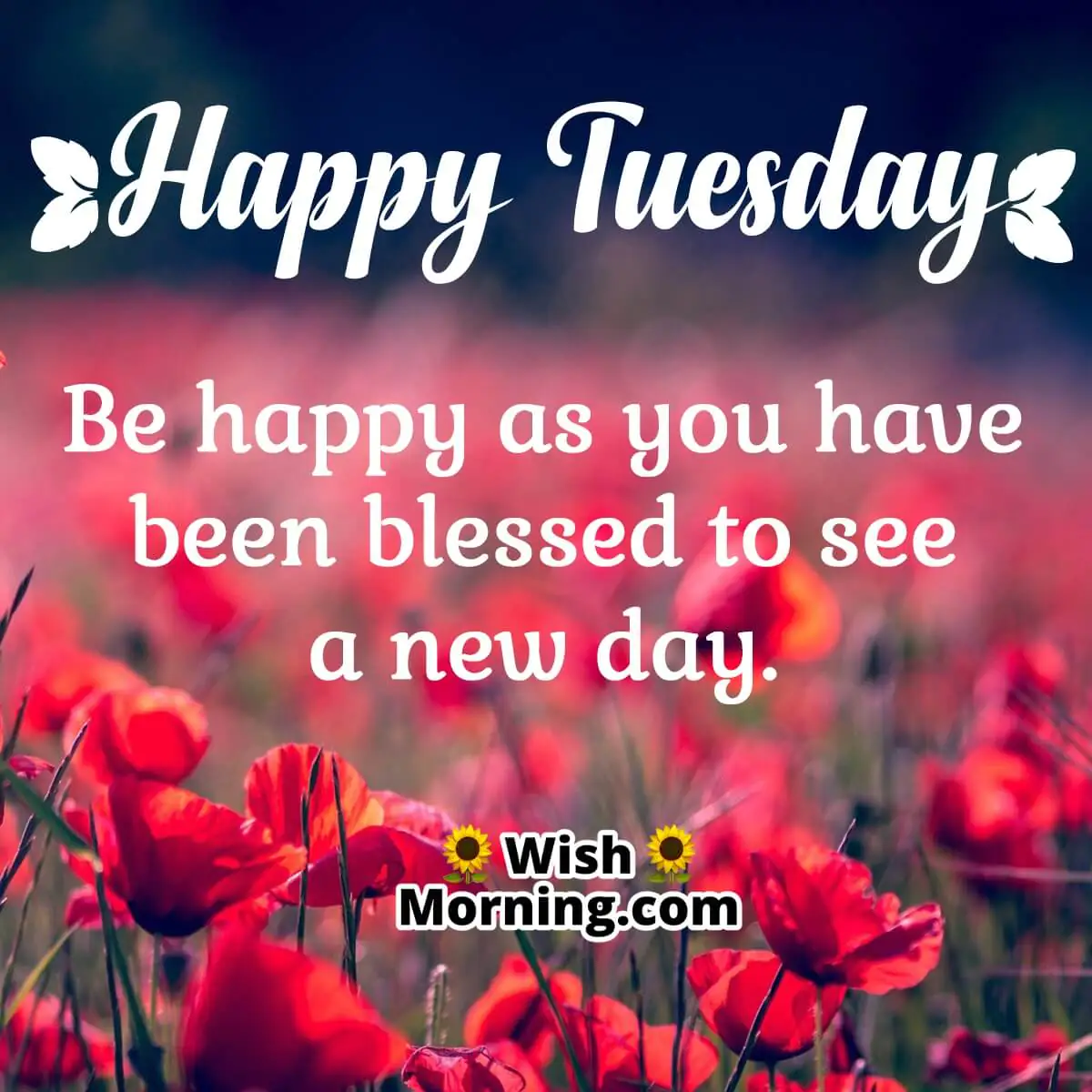 Happy Tuesday Be Happy