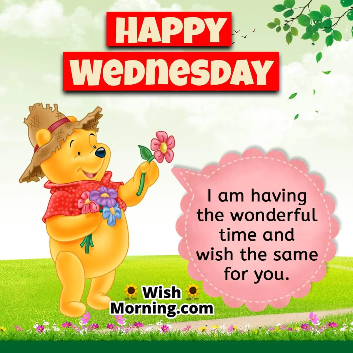 Happy Wednesday Whatsapp Status