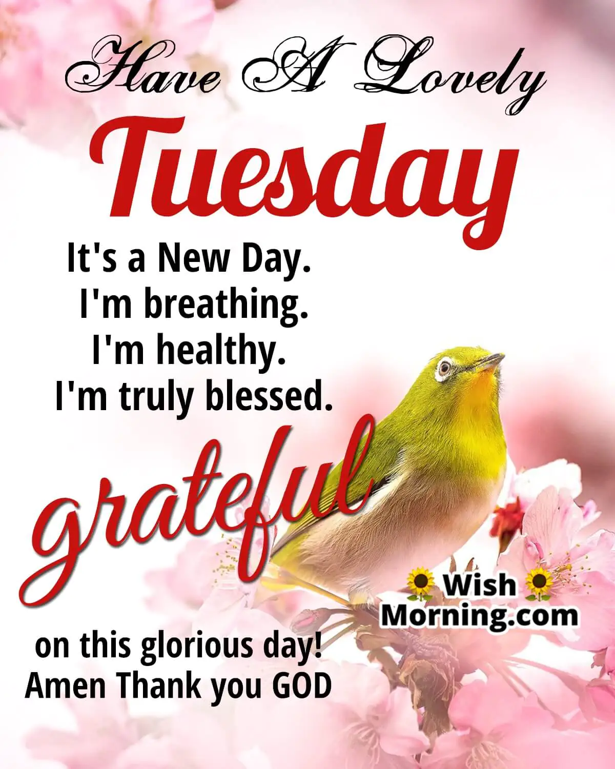 Lovely Tuesday Status Image