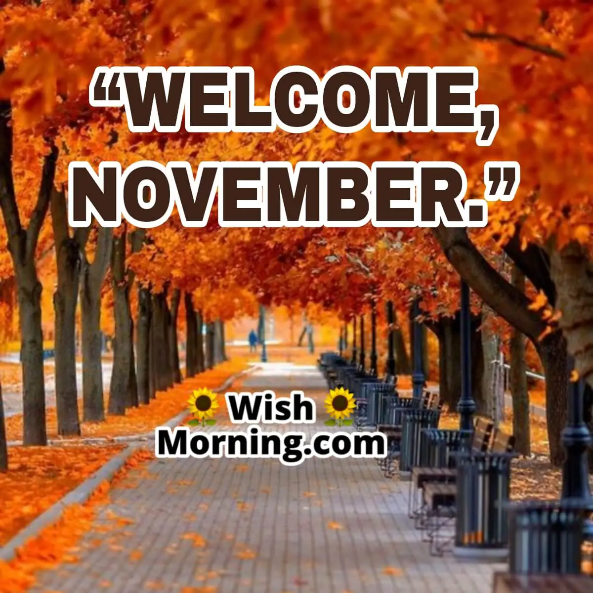 Welcome November