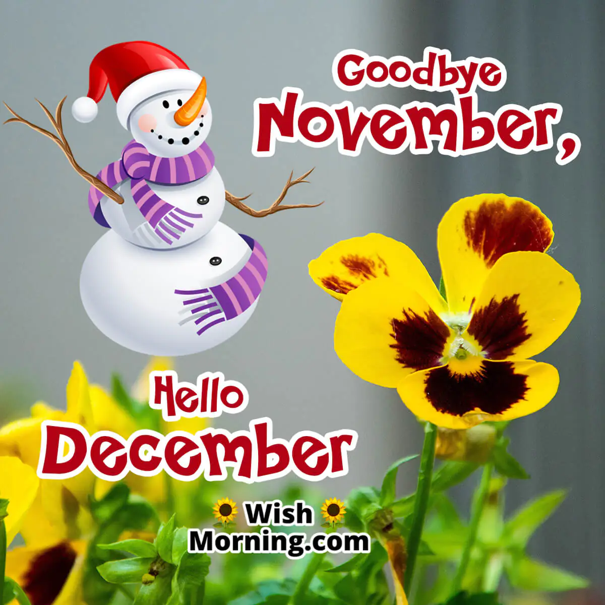 Goodbye November, Hello December