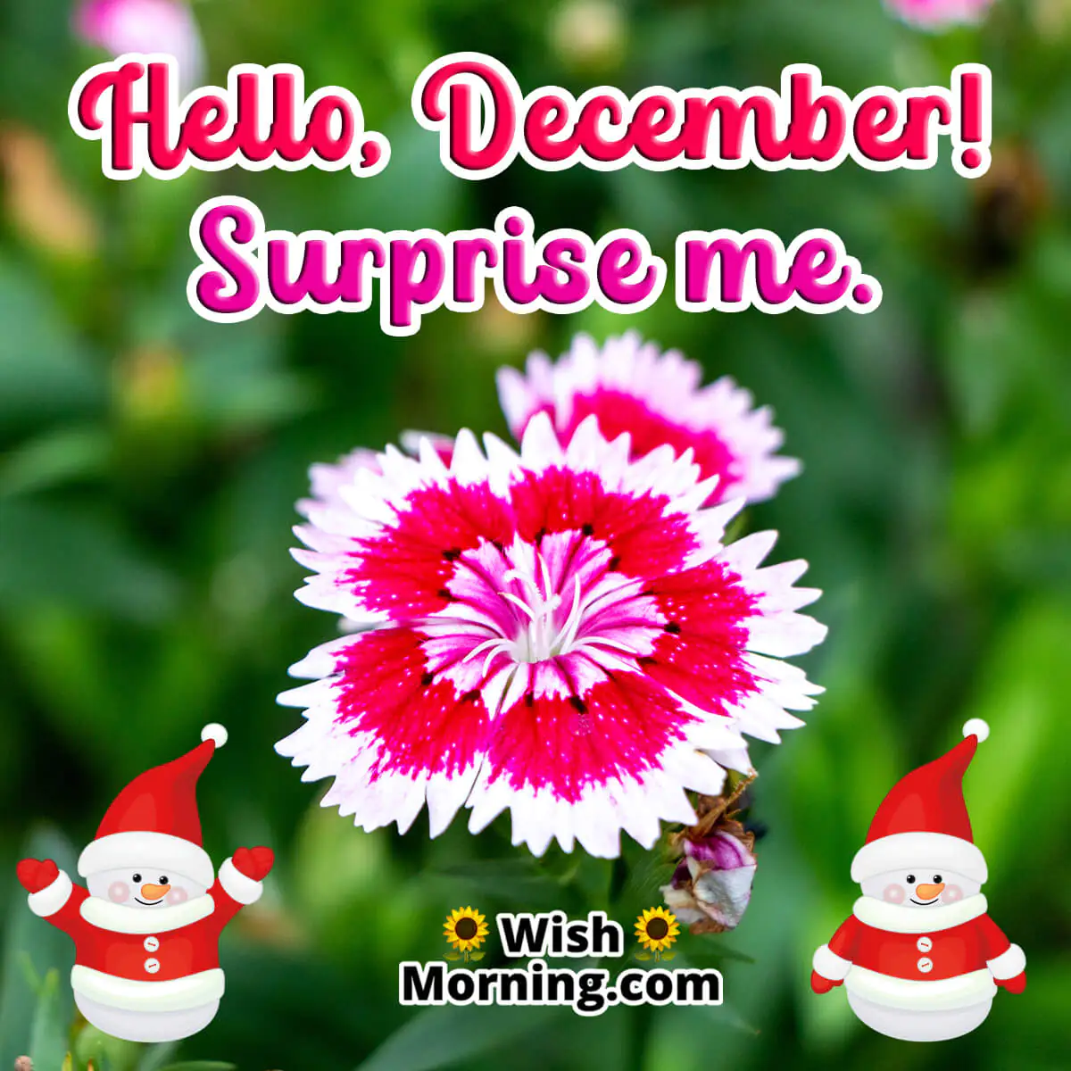 Hello, December Status Image