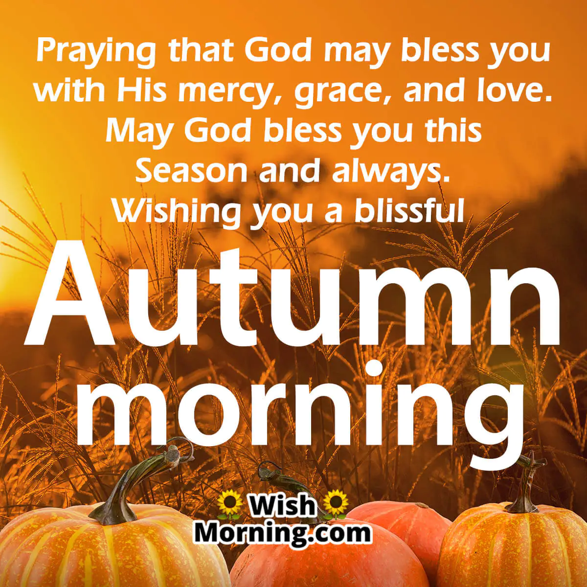 Autumn Morning Wishes