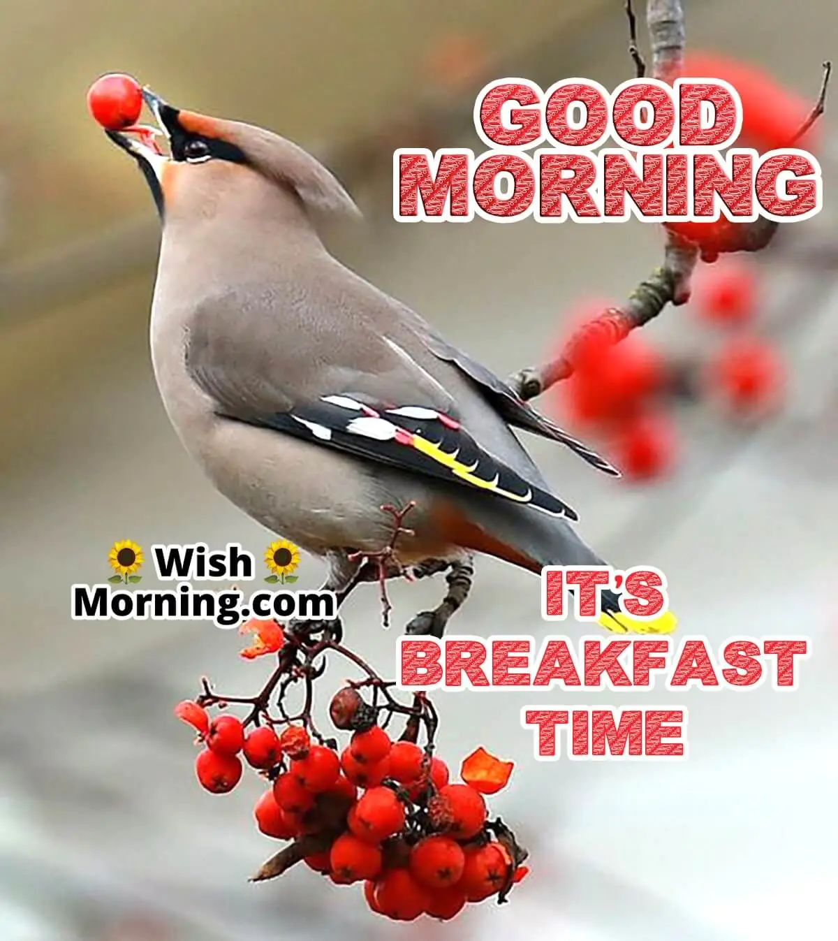 Good Morning Breakfast Time Photo