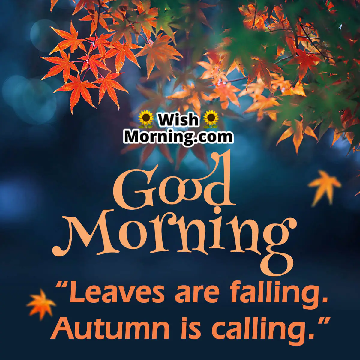 Good Morning Cute Fall Quote
