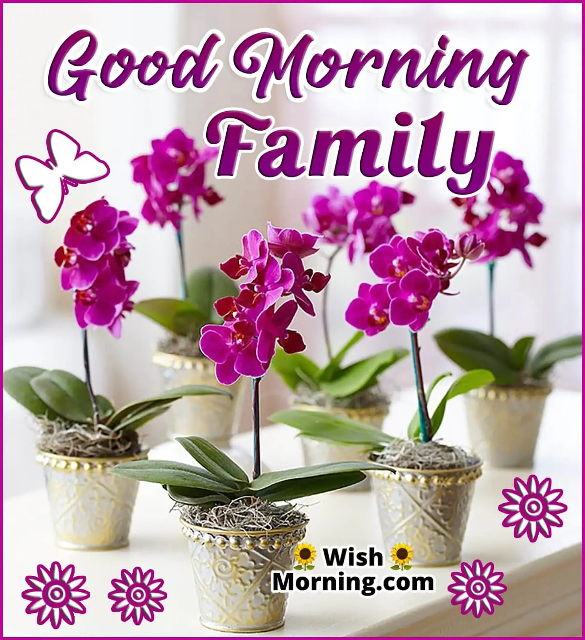 Good Morning Family