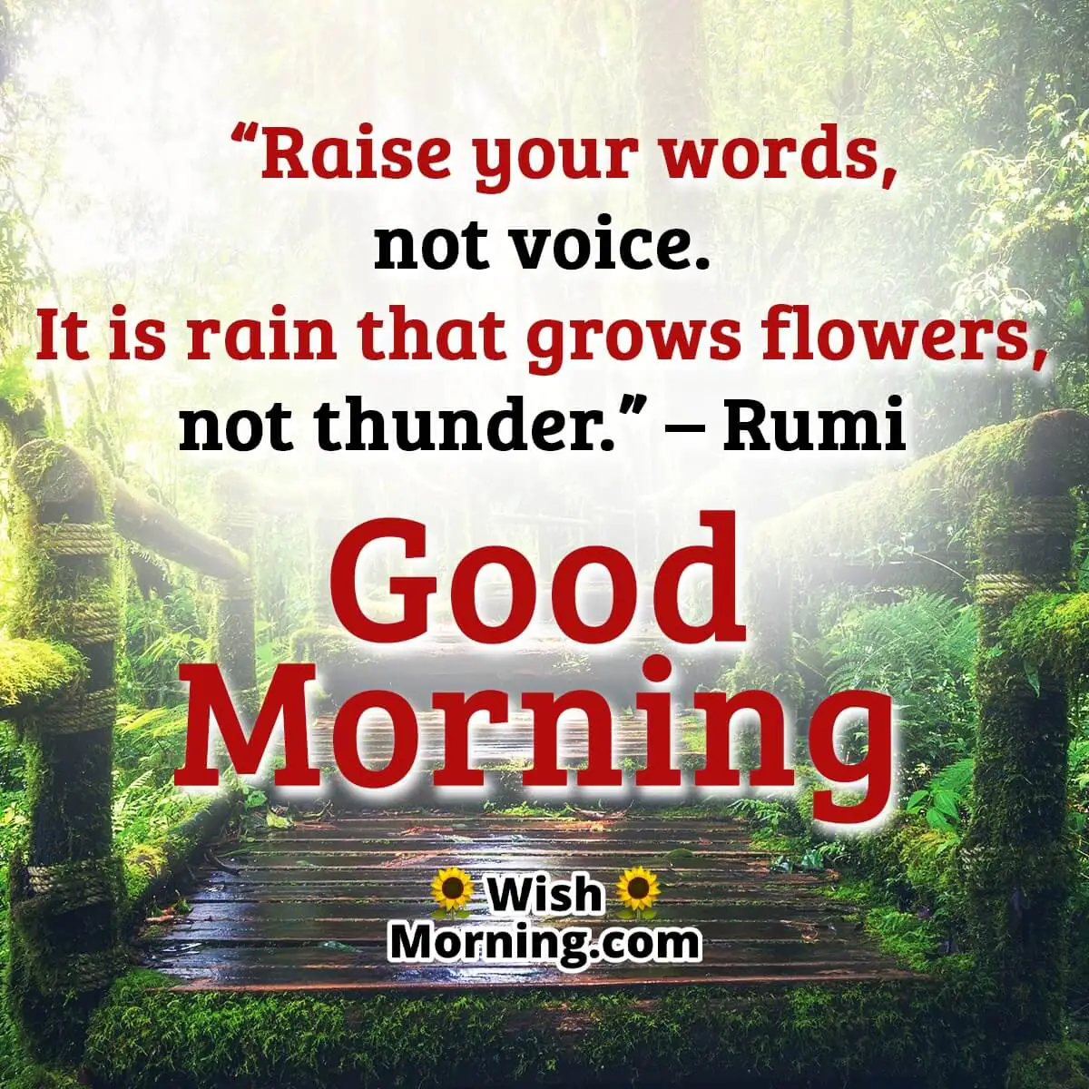 Good Morning Rumi Messages