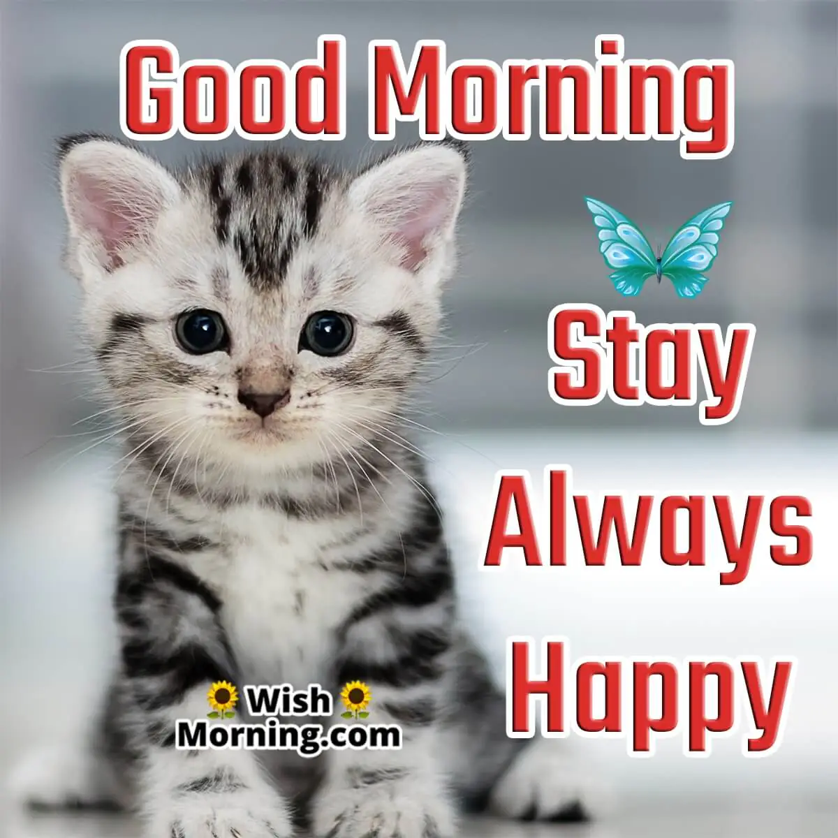 Good Morning Stay Always Happy