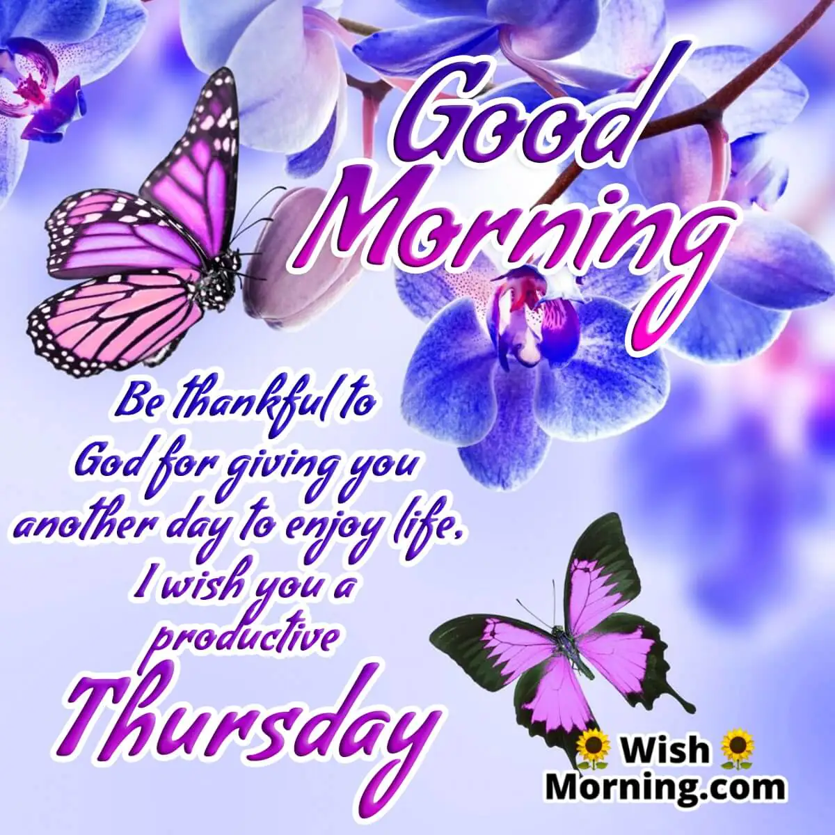 Productive Thursday Morning Wish