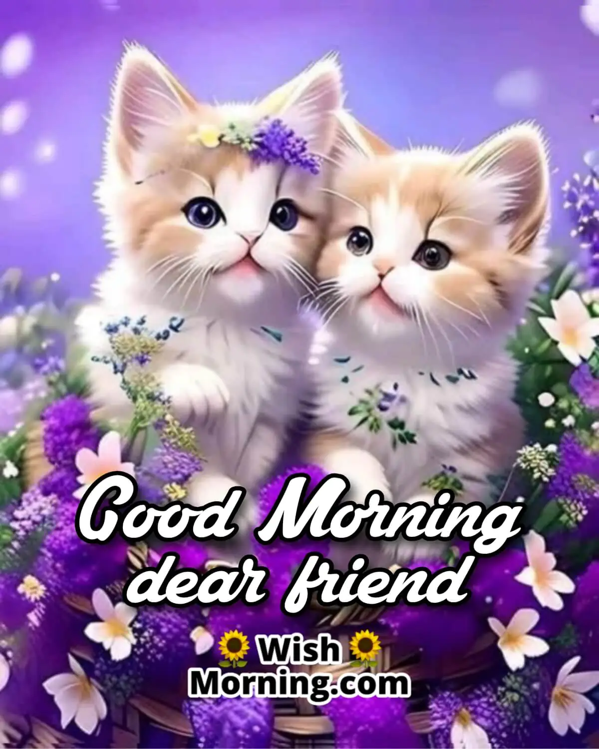 Good Morning Cats For Friend