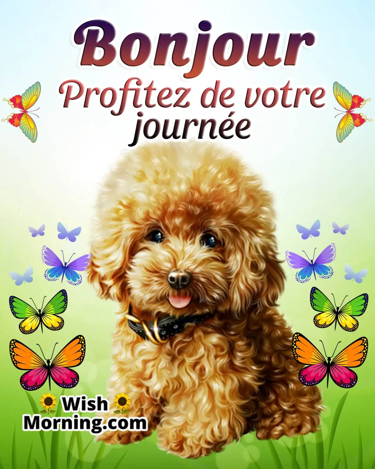 Good Morning French Wish