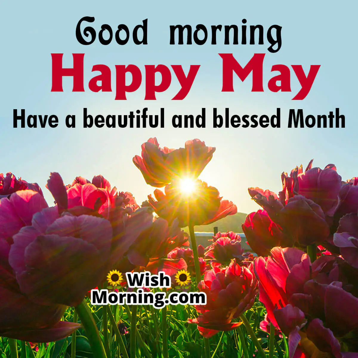 Good Morning Happy May Blessing