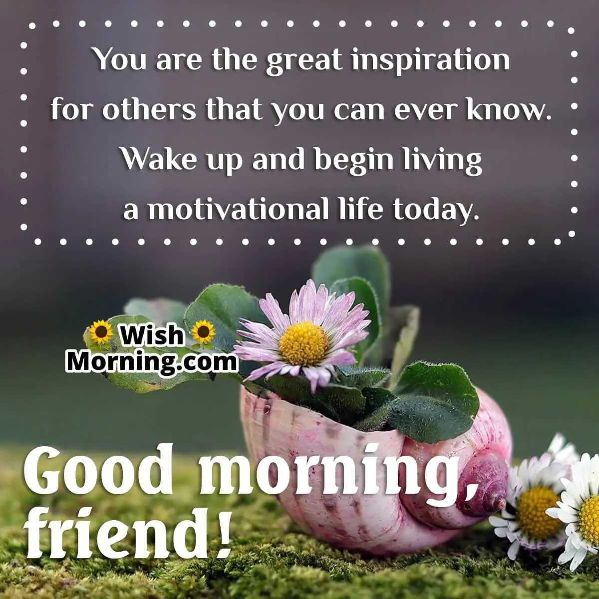 Good Morning Inspiration For A Friend