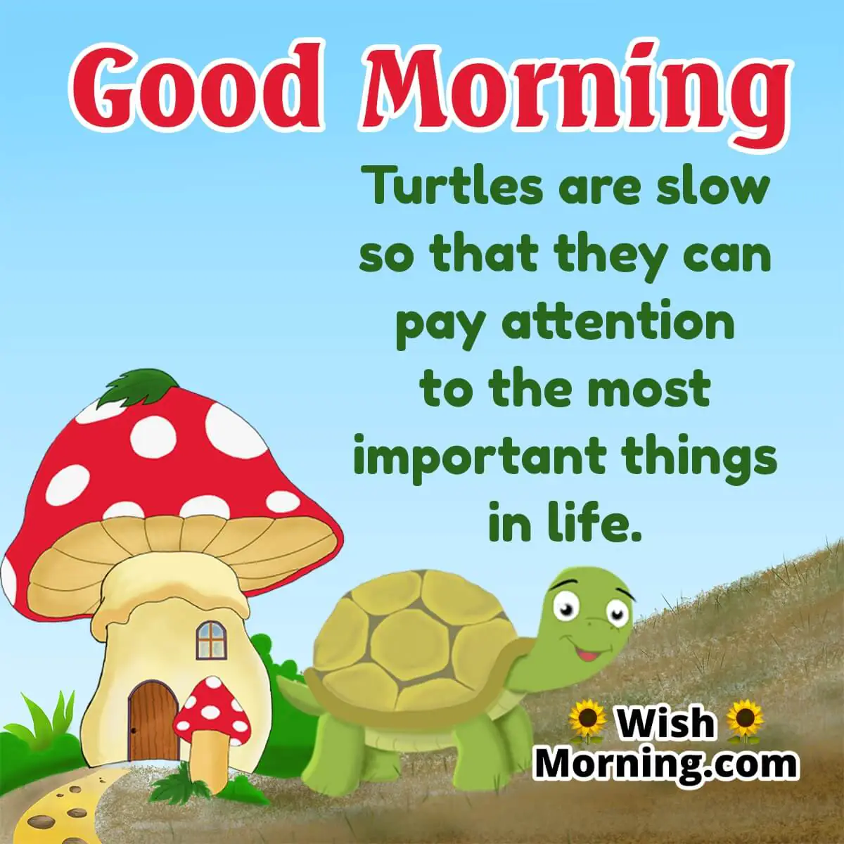 Good Morning Turtle Inspiring Quote