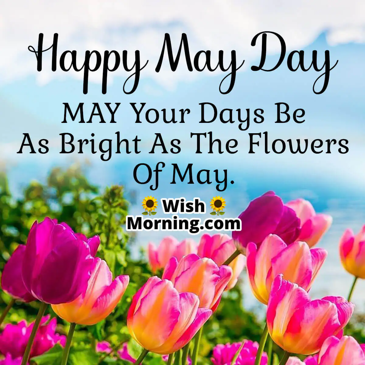 Happy May Day Wish Image