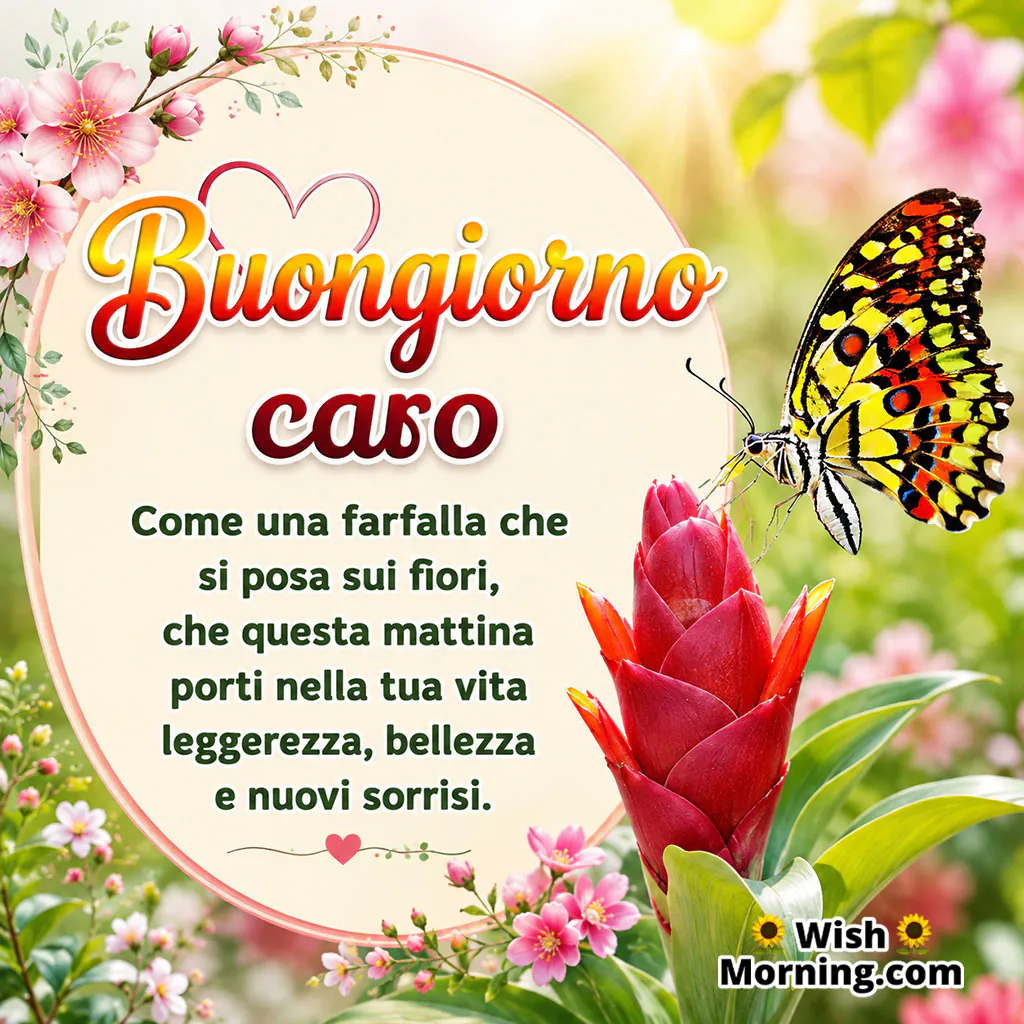 Buongiorno Caro