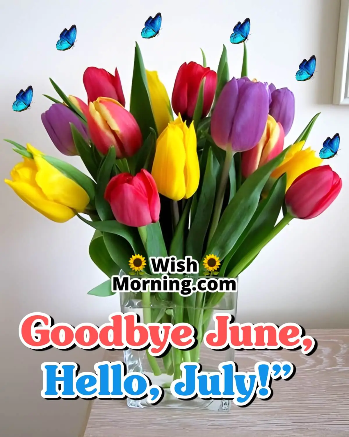 Goodbye June, Hello, July