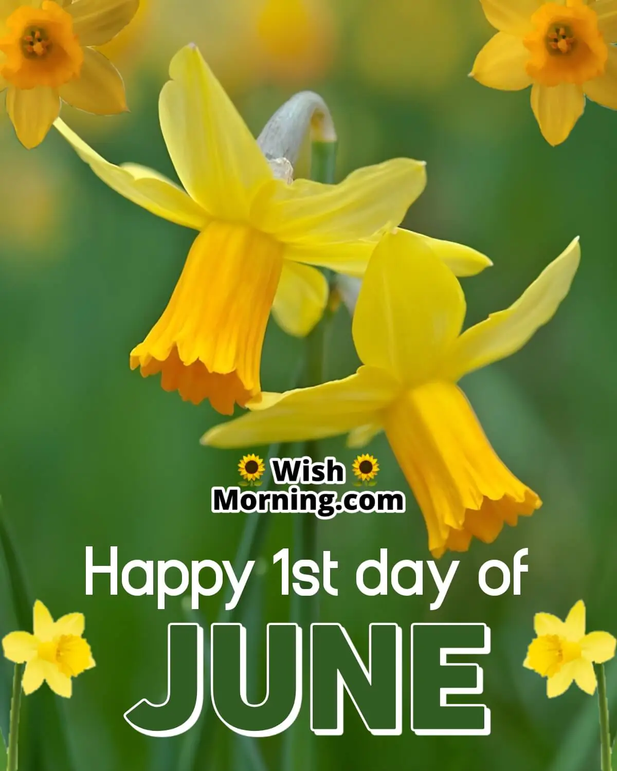 Happy 1st Day Of June