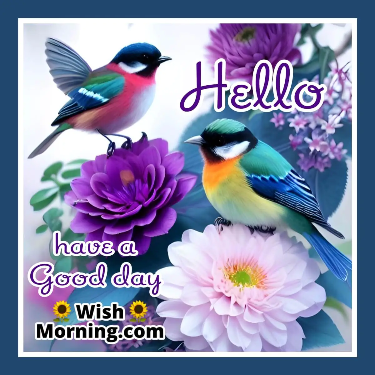 Hello Have A Good Day