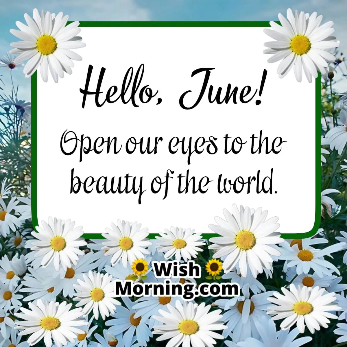 Hello June Status