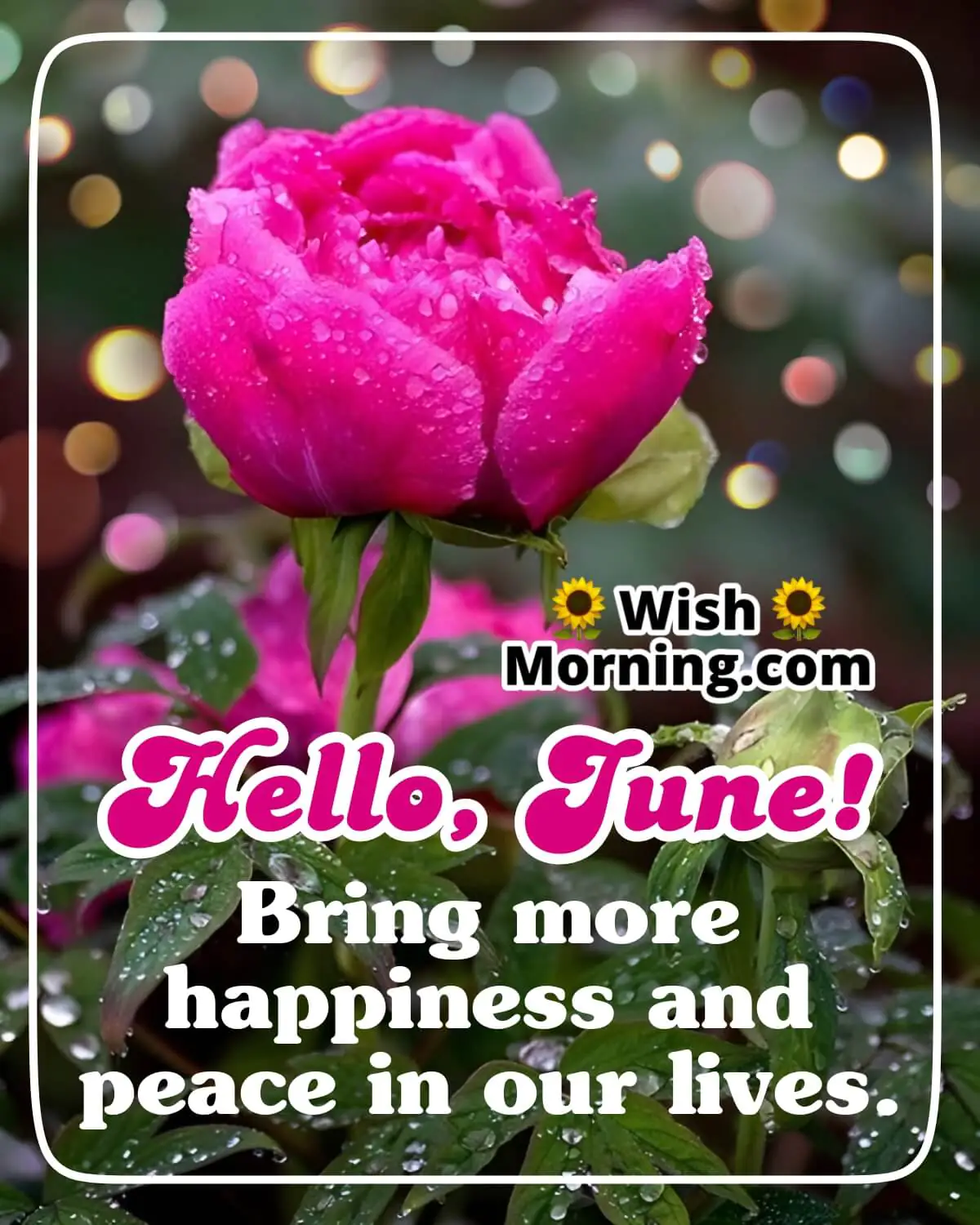 Hello, June! Whatsapp Status
