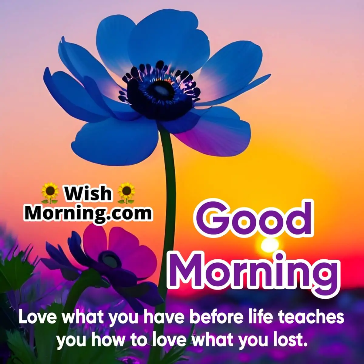 Good Morning Quote About Love In Life