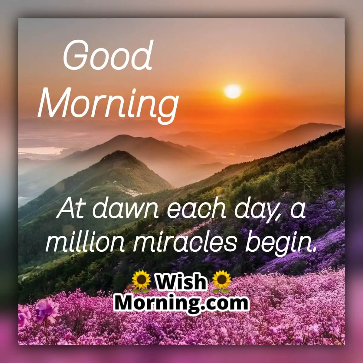 Good Morning Sunrise Quote