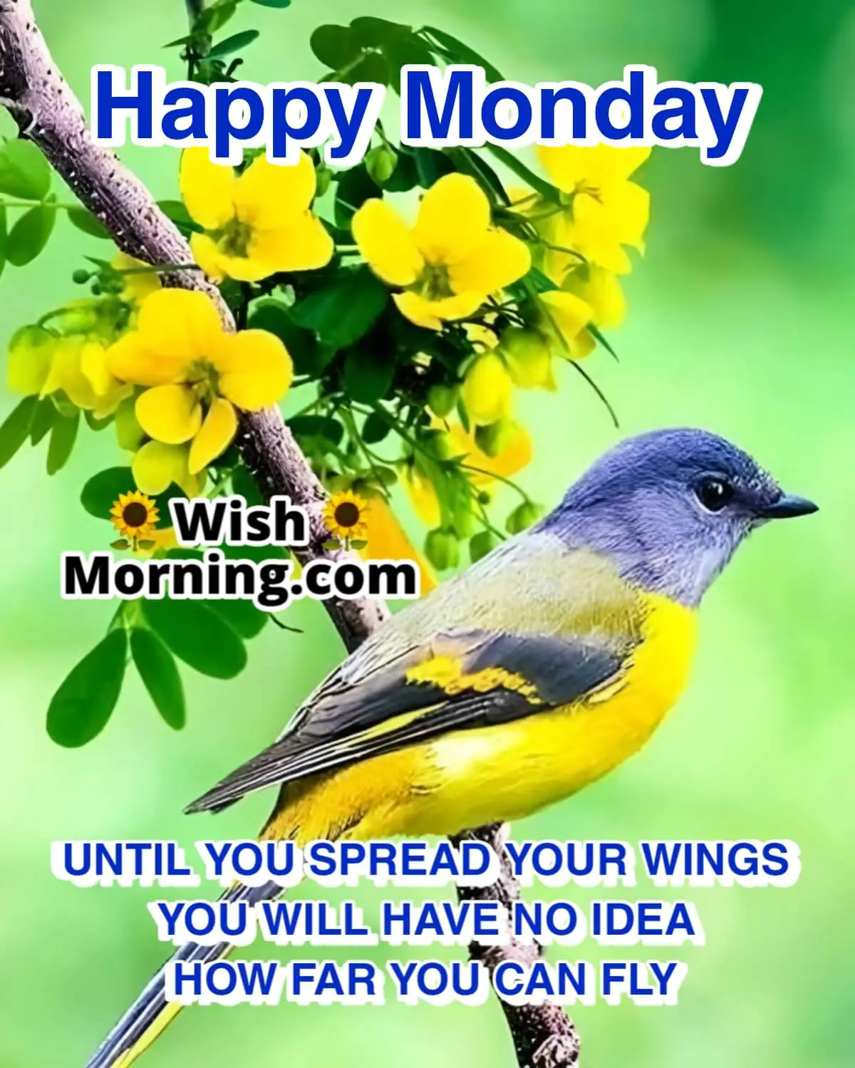 Happy Monday Quote Picture