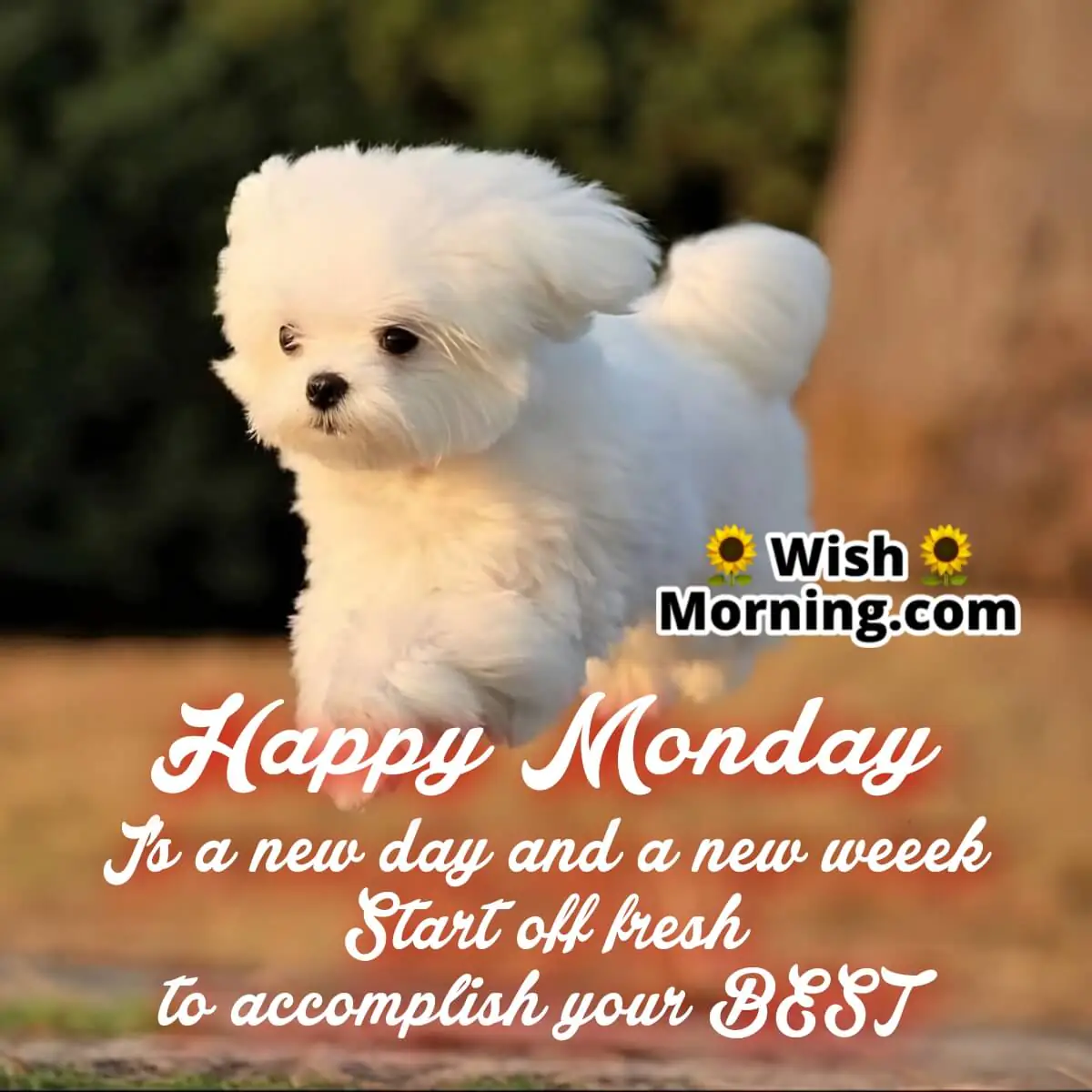 Happy Monday Start Fresh Quote