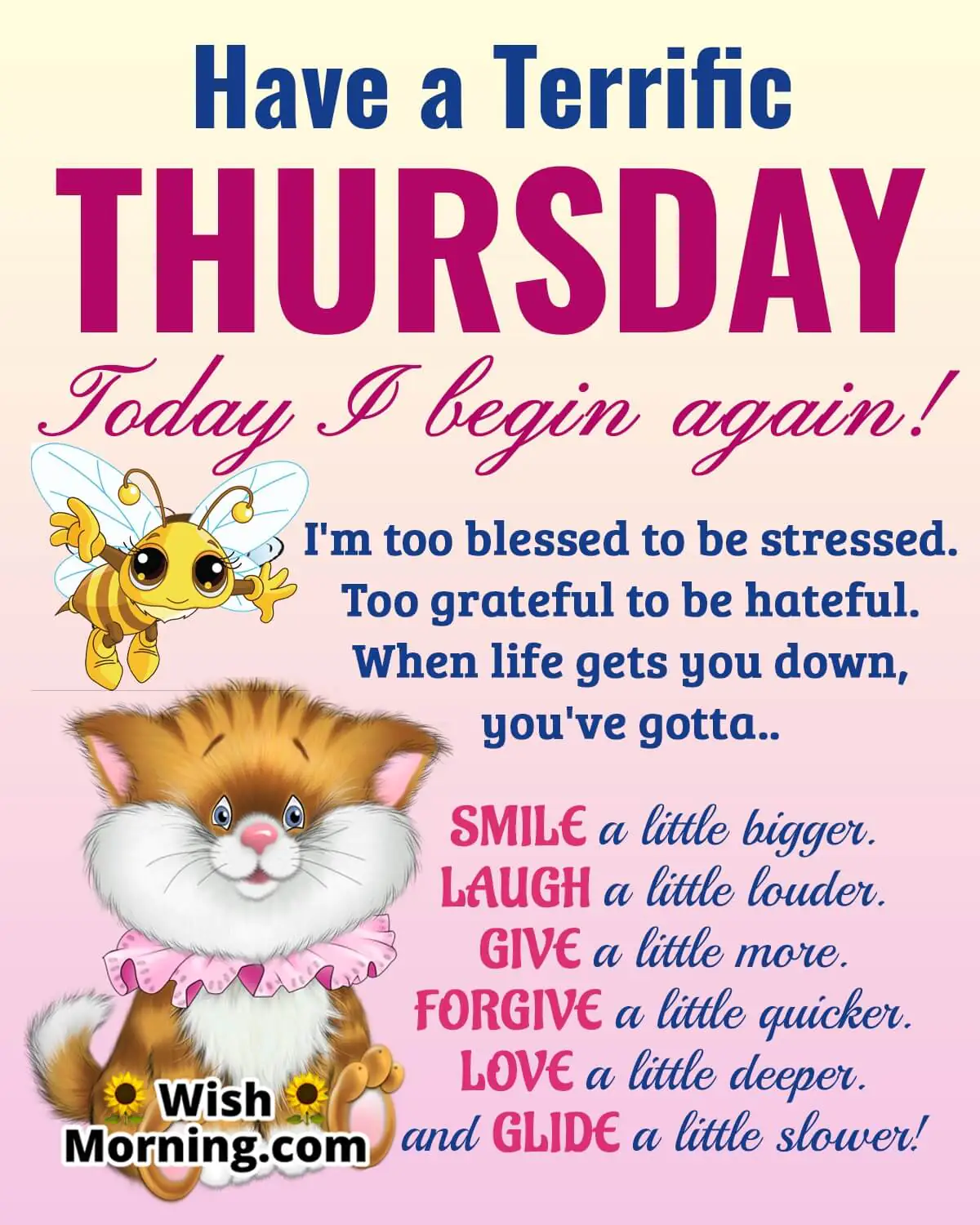 Have A Terrific Thursday