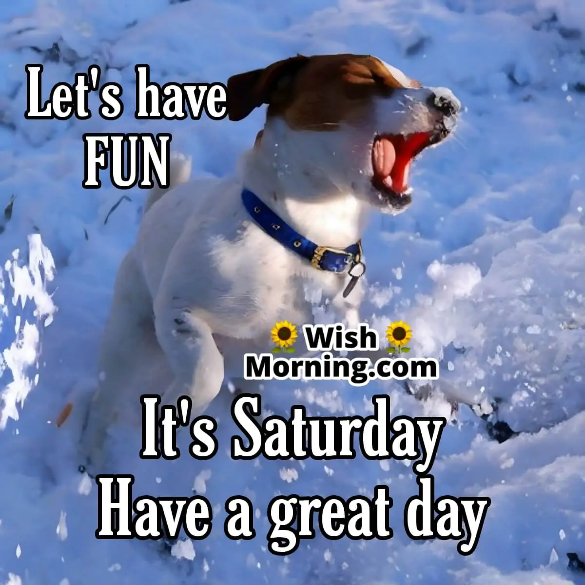It's Saturday Let's Have Fun