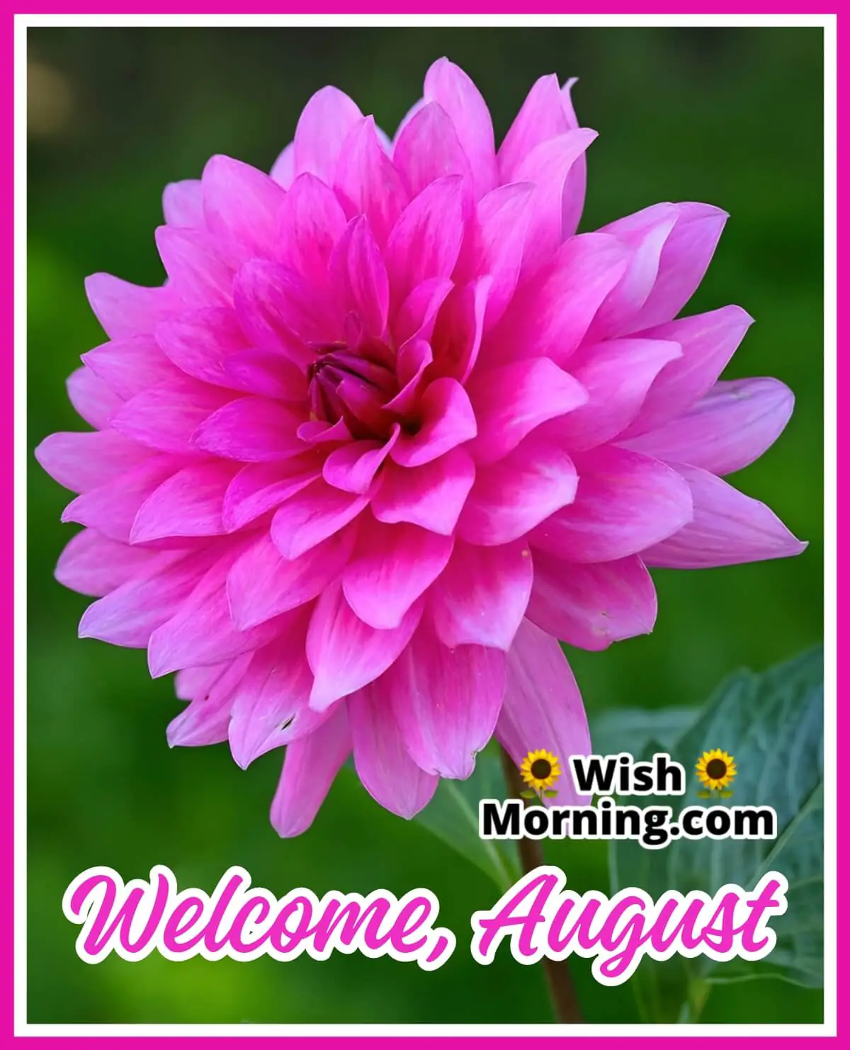 Welcome August