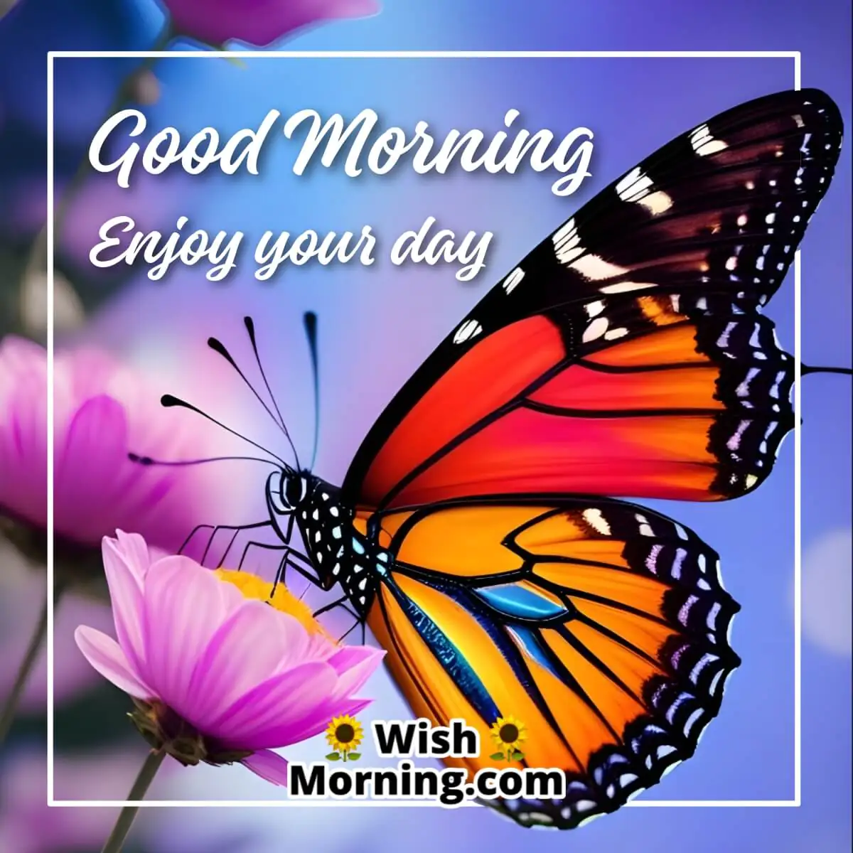 Good Morning Enjoy Your Day