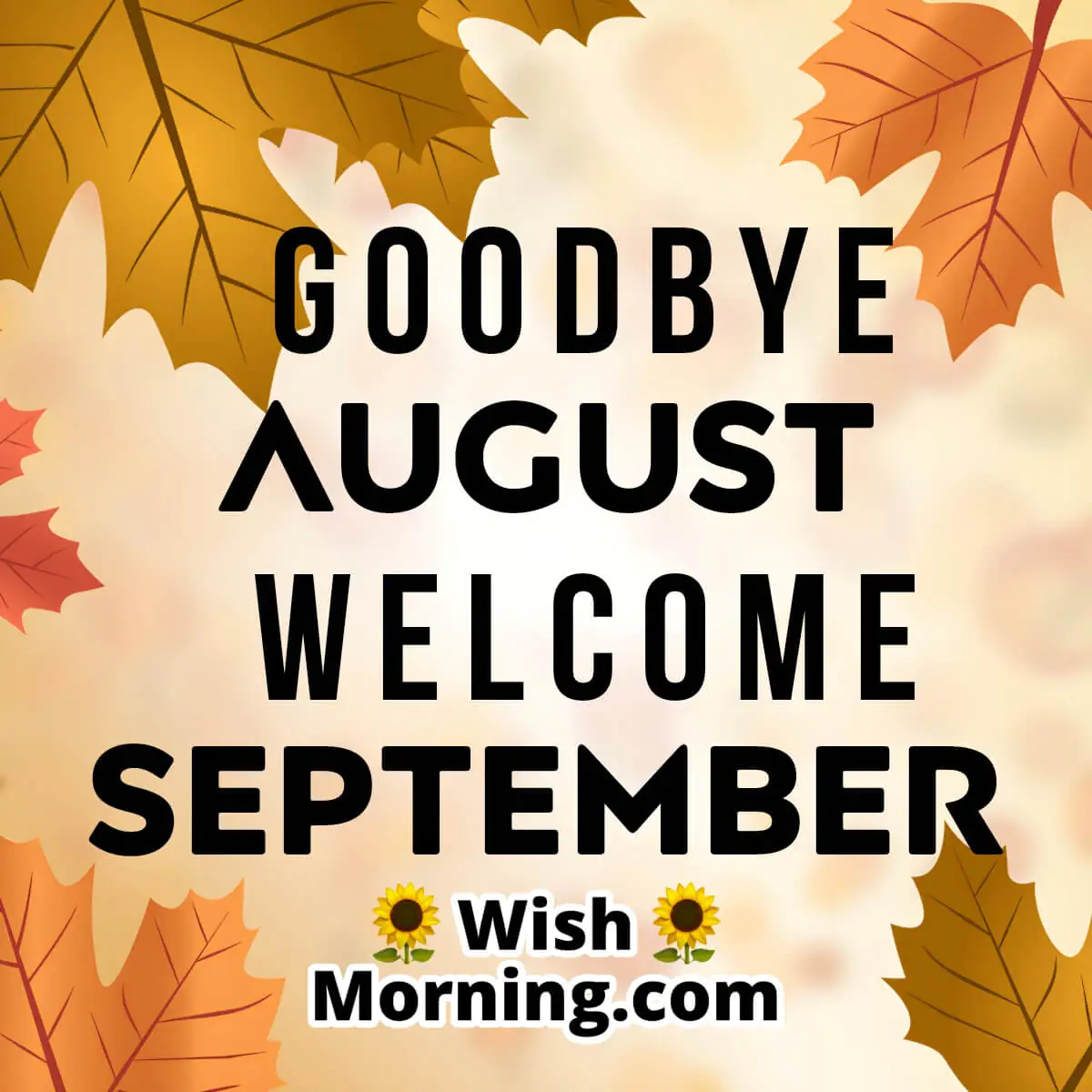 Goodbye August Welcome September