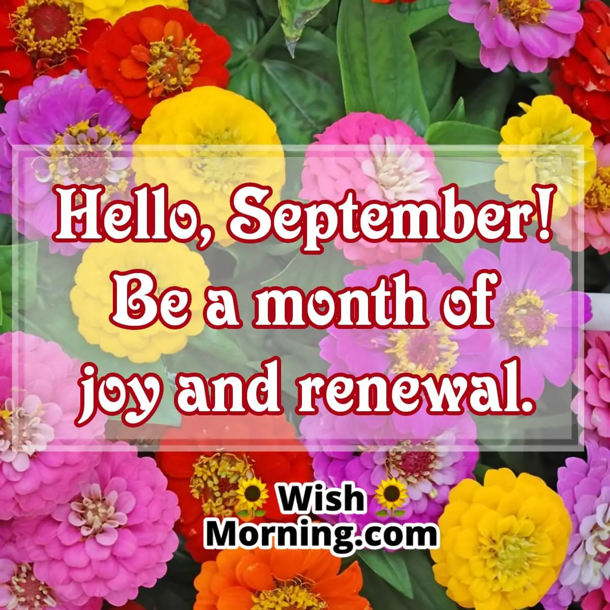 Hello September Wish Picture