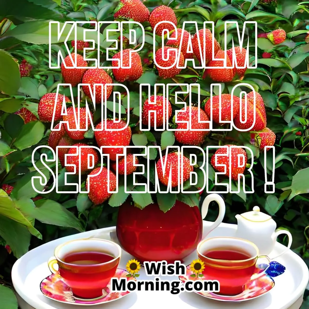 Keep Calm And Hello September