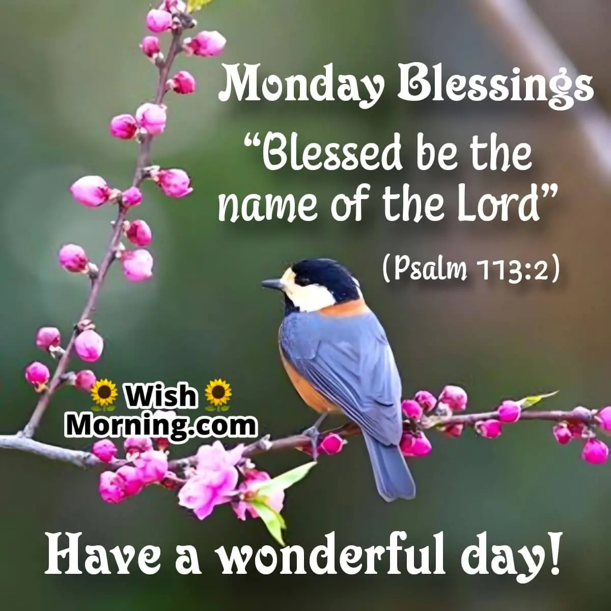 Monday Blessings Quote Image