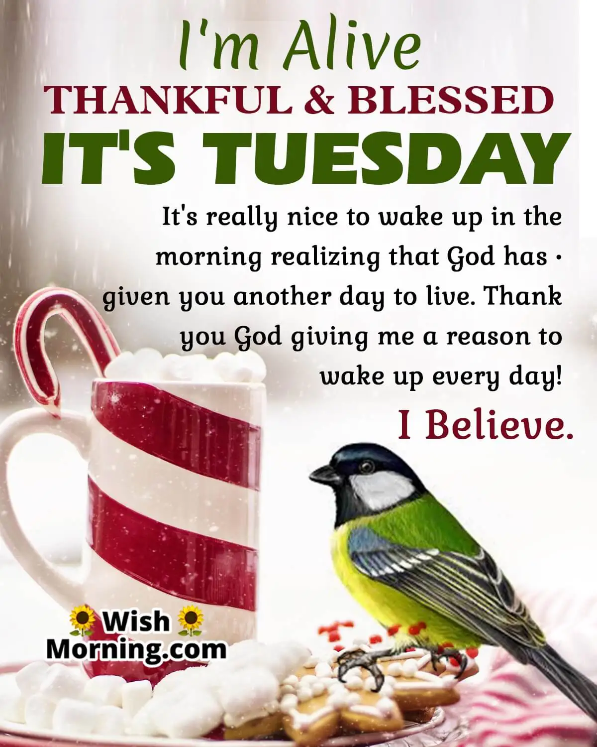Thankful Blessed Tuesday Status Pic