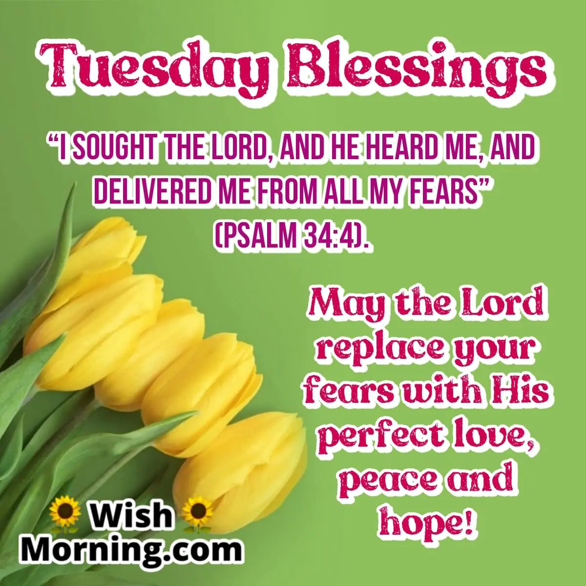 Tuesday Blessings