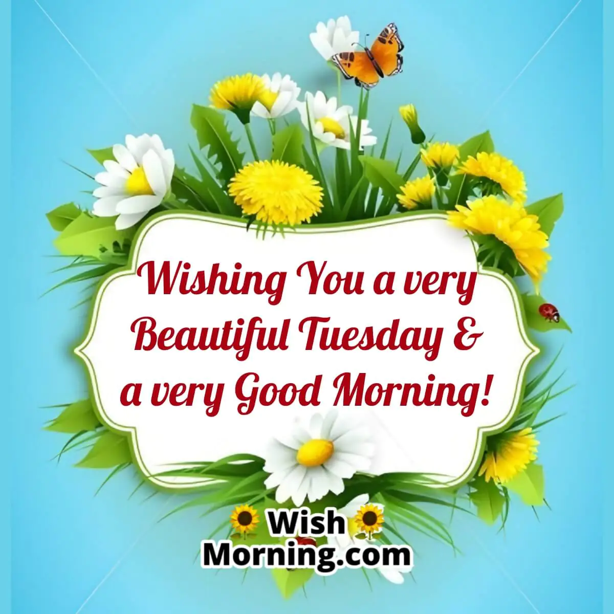 Beautiful Tuesday Good Morning