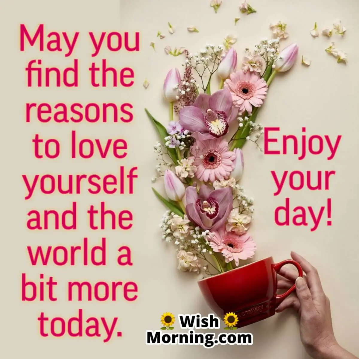 Enjoy Your Day