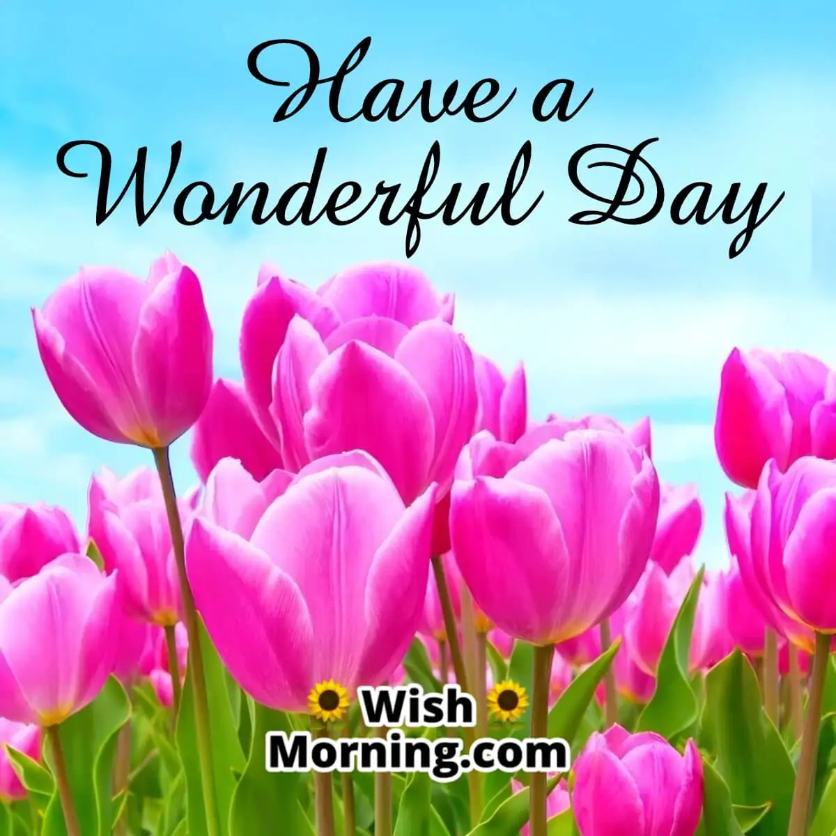 Have A Wonderful Day Flower Pic